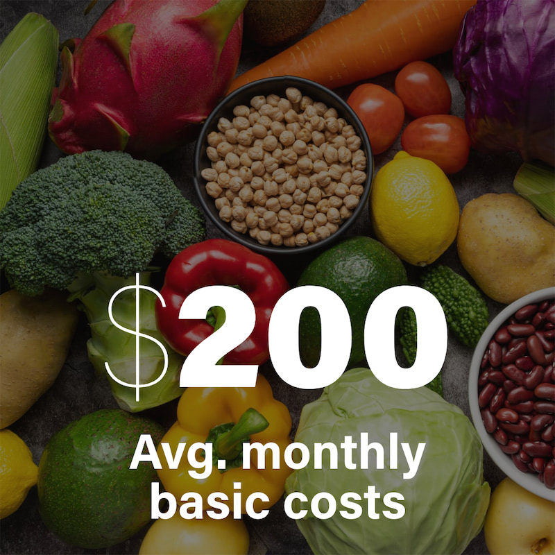 $200 is their average monthly need for basic expenses.